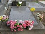 image of grave number 351579